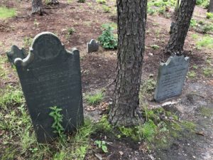 Two tombstones with tree