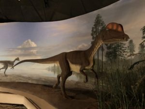 Side image of dinosaur model