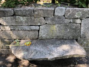 Wall with stone