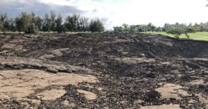 The Waikoloa Petroglyph Field