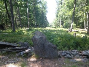 Standing stone with rock wall on either side and cleared forest behind.