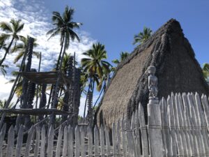 Thatched structure, palisade, and ki'i