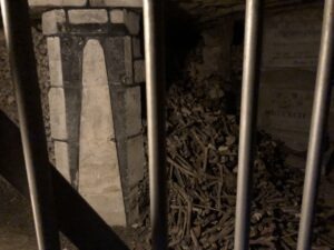 A pile of bones and a column behind metal bars