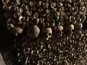 Row of skulls surrounded by bones