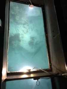 Glass panel on bottom of boat showing part of shipwreck