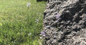 The Druid Hill Stone Circle of Lowell