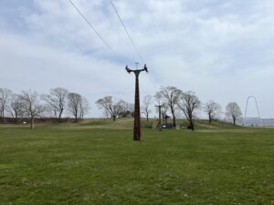 Green field with Skyliner pillars