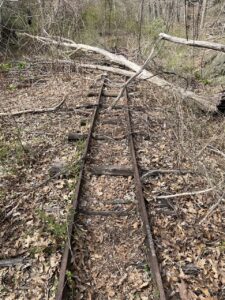 Train tracks covered in leaves in woods